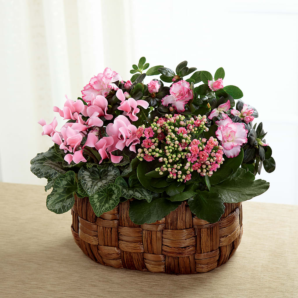 Pink Assortment – CRALL'S MONONGAHELA FLORAL & GIFT, Monongahela PA