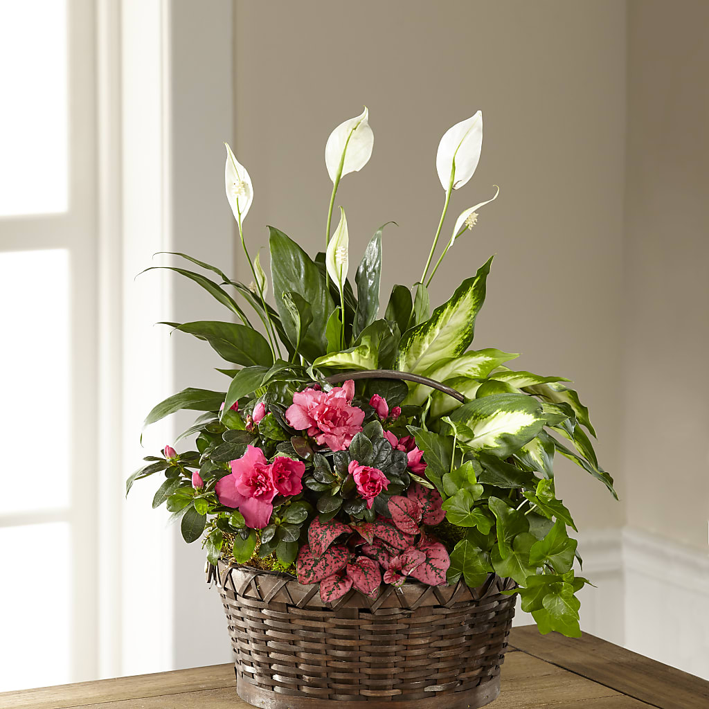 Dream in Pink Dishgarden – CRALL'S MONONGAHELA FLORAL & GIFT, Monongahela PA