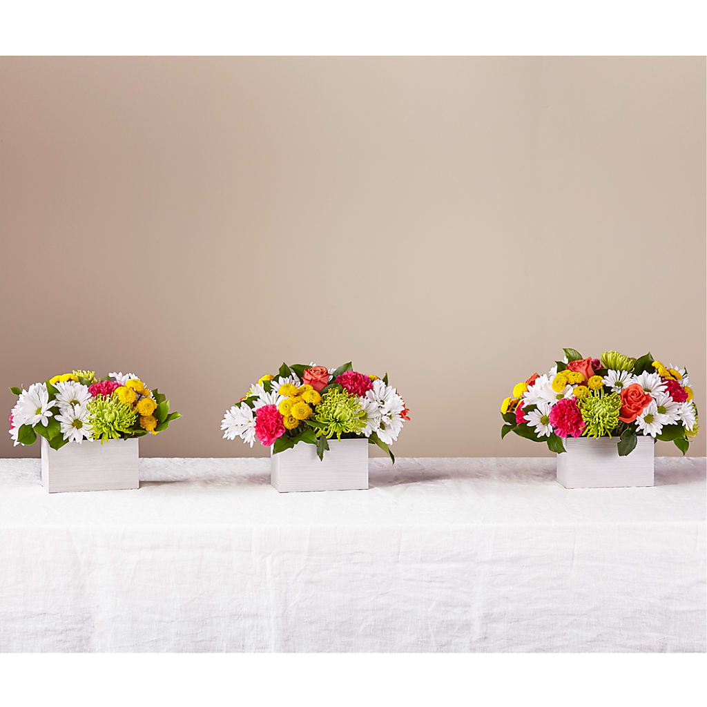 Sorbet Bouquet – CRALL'S MONONGAHELA FLORAL & GIFT, Monongahela PA
