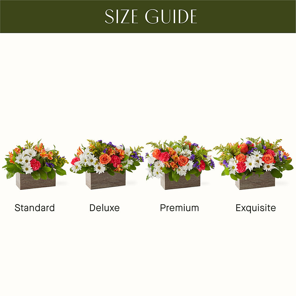 Oopsie Daisy Box Bouquet – CRALL'S MONONGAHELA FLORAL & GIFT, Monongahela PA