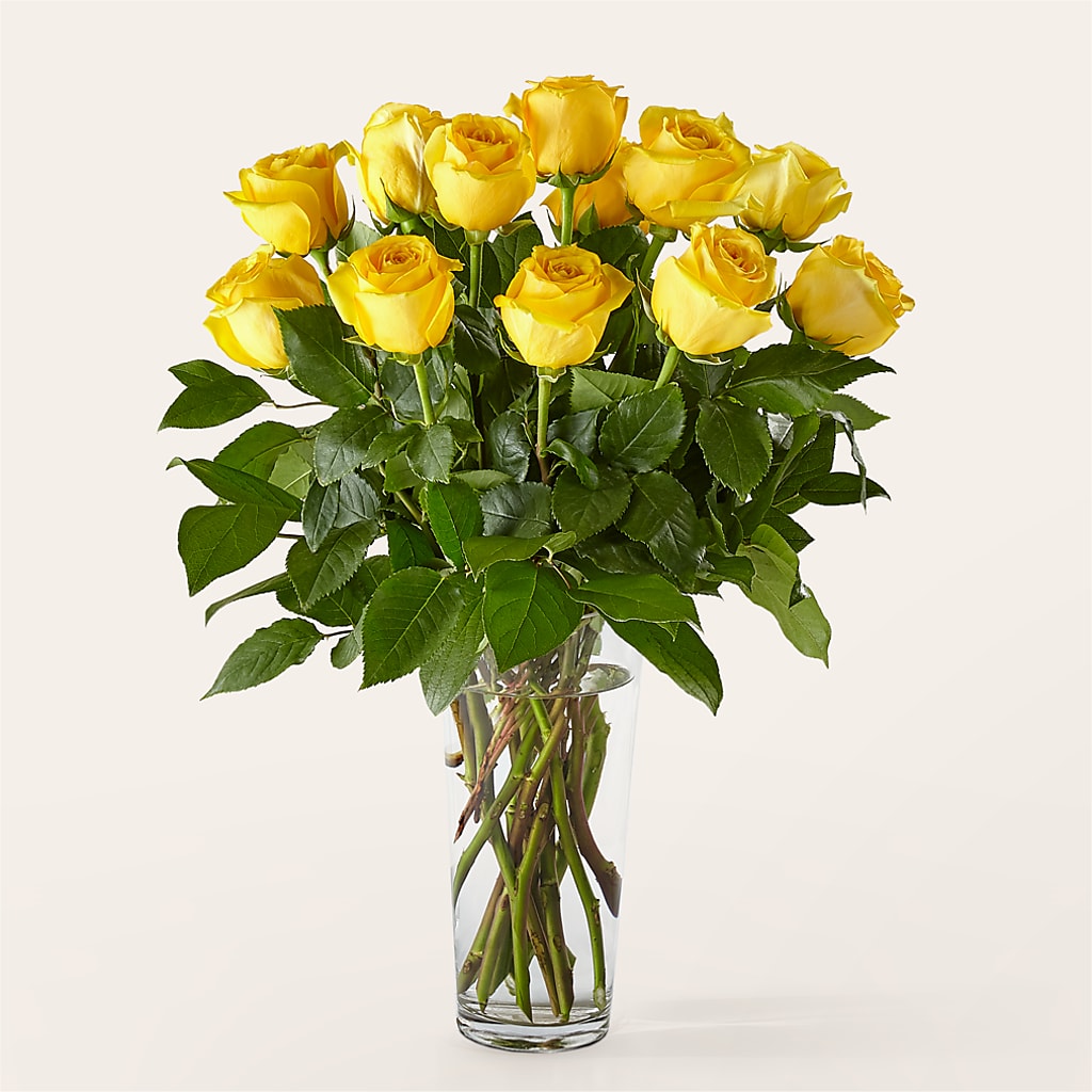 Long Stem Yellow Rose Bouquet – CRALL'S MONONGAHELA FLORAL & GIFT, Monongahela PA