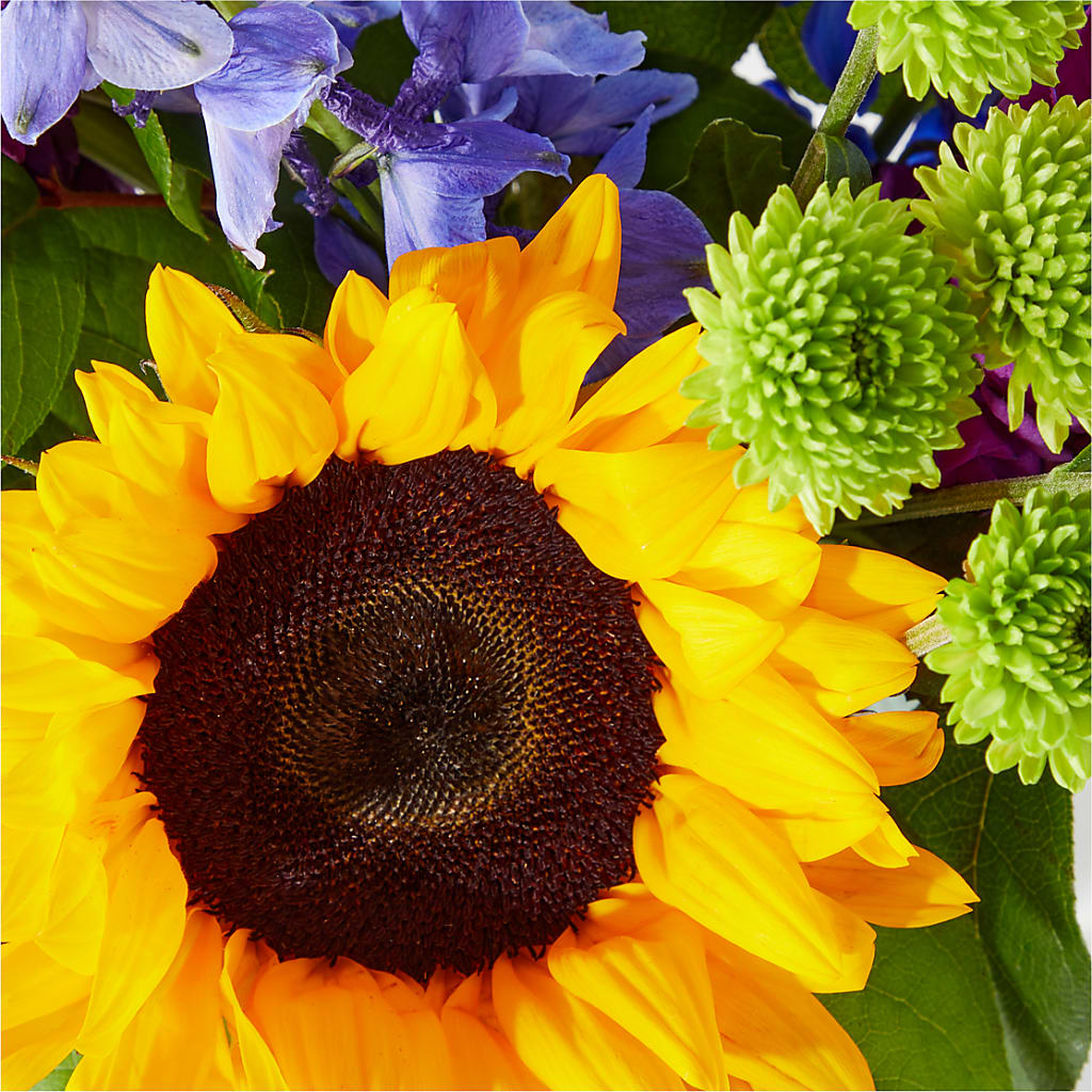 Catching Rays Bouquet – CRALL'S MONONGAHELA FLORAL & GIFT, Monongahela PA