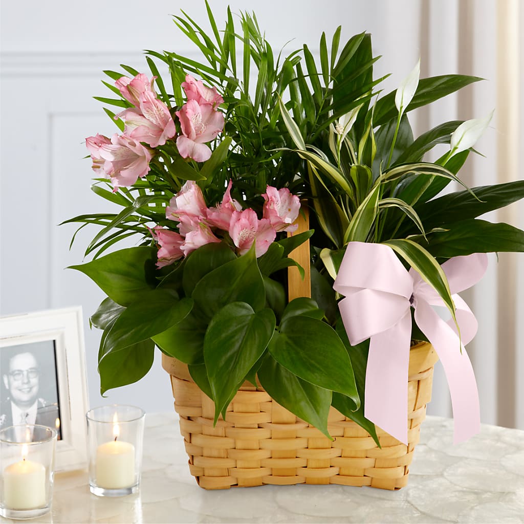 Living Spirit Dishgarden – CRALL'S MONONGAHELA FLORAL & GIFT, Monongahela PA
