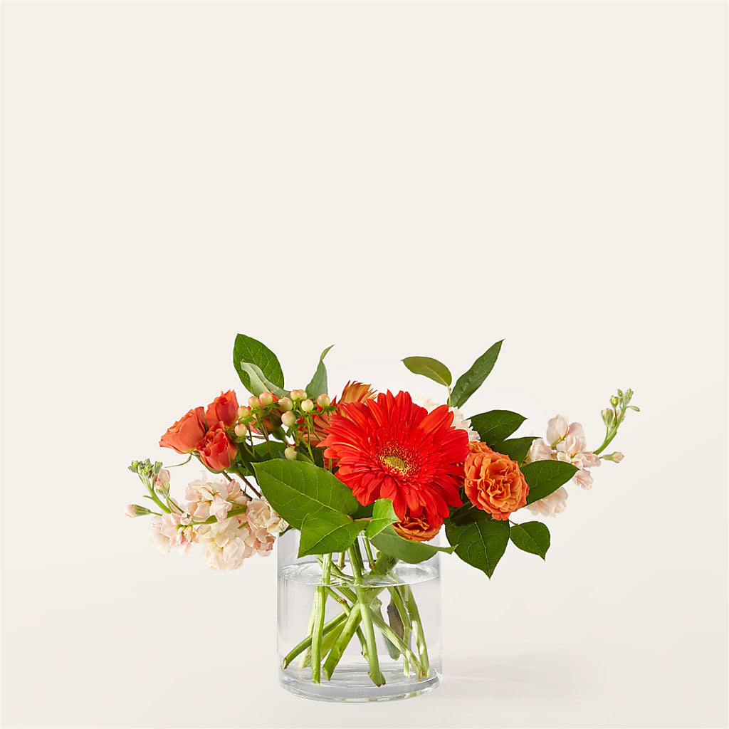 Paloma Please Bouquet – CRALL'S MONONGAHELA FLORAL & GIFT, Monongahela PA