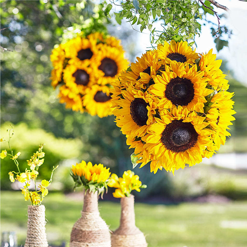 Sublime Garden Hanging Arrangement – CRALL'S MONONGAHELA FLORAL & GIFT, Monongahela PA