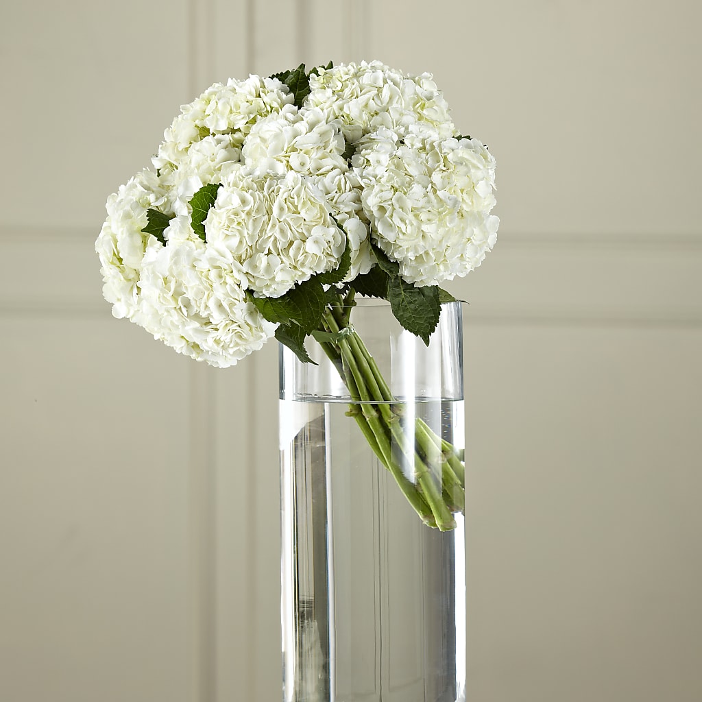 White Hydrangea Hand-Tied Bouquet – CRALL'S MONONGAHELA FLORAL & GIFT, Monongahela PA