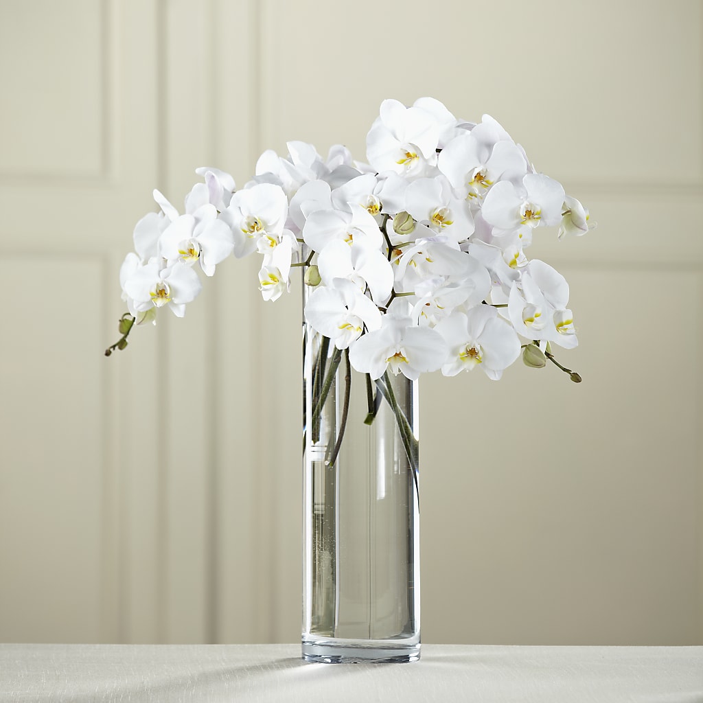 White Phalaenopsis Bouquet – CRALL'S MONONGAHELA FLORAL & GIFT, Monongahela PA