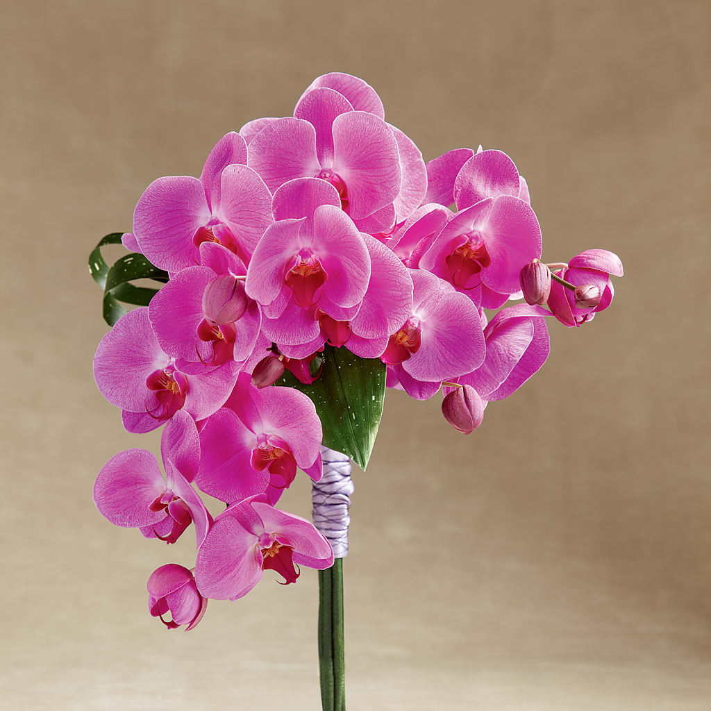 Glorious Bouquet – CRALL'S MONONGAHELA FLORAL & GIFT, Monongahela PA