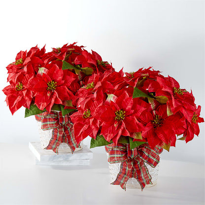 Happiest Holidays Poinsettia Bundle – CRALL'S MONONGAHELA FLORAL & GIFT, Monongahela PA