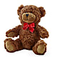 Adorable Plush Bear – CRALL'S MONONGAHELA FLORAL & GIFT, Monongahela PA