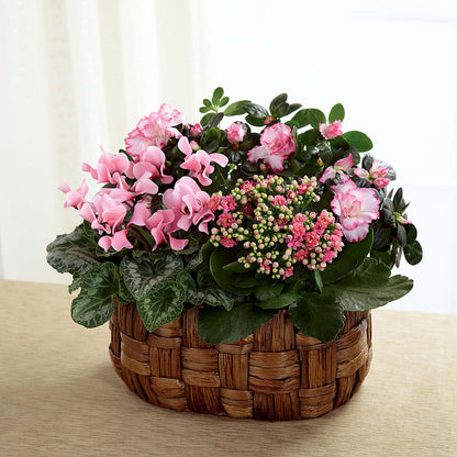 Pink Assortment – CRALL'S MONONGAHELA FLORAL & GIFT, Monongahela PA