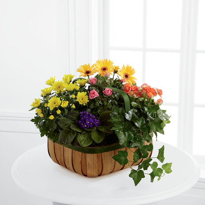 Gentle Blossoms Basket – CRALL'S MONONGAHELA FLORAL & GIFT, Monongahela PA