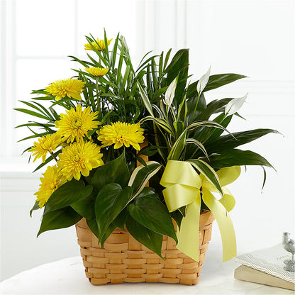 Loving Light Dishgarden – CRALL'S MONONGAHELA FLORAL & GIFT, Monongahela PA