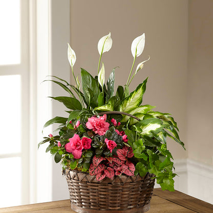 Dream in Pink Dishgarden – CRALL'S MONONGAHELA FLORAL & GIFT, Monongahela PA