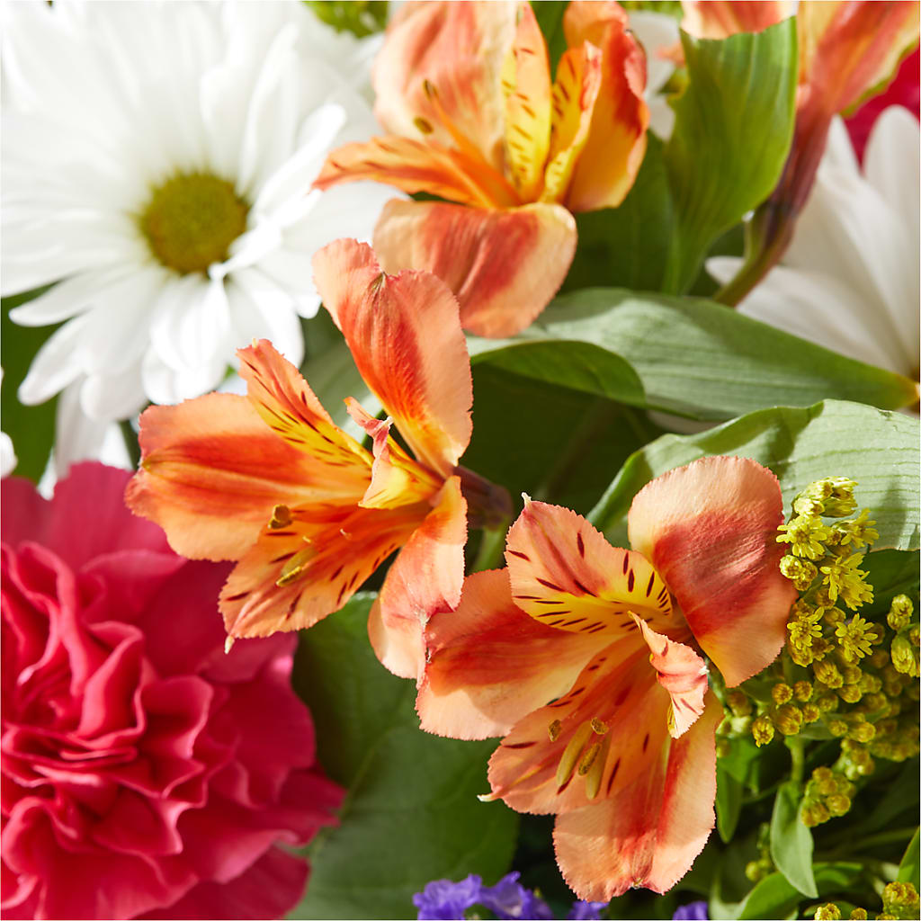 Oopsie Daisy Box Bouquet – CRALL'S MONONGAHELA FLORAL & GIFT, Monongahela PA