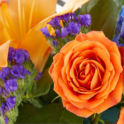 Radiant Citrus Box Bouquet – CRALL'S MONONGAHELA FLORAL & GIFT, Monongahela PA