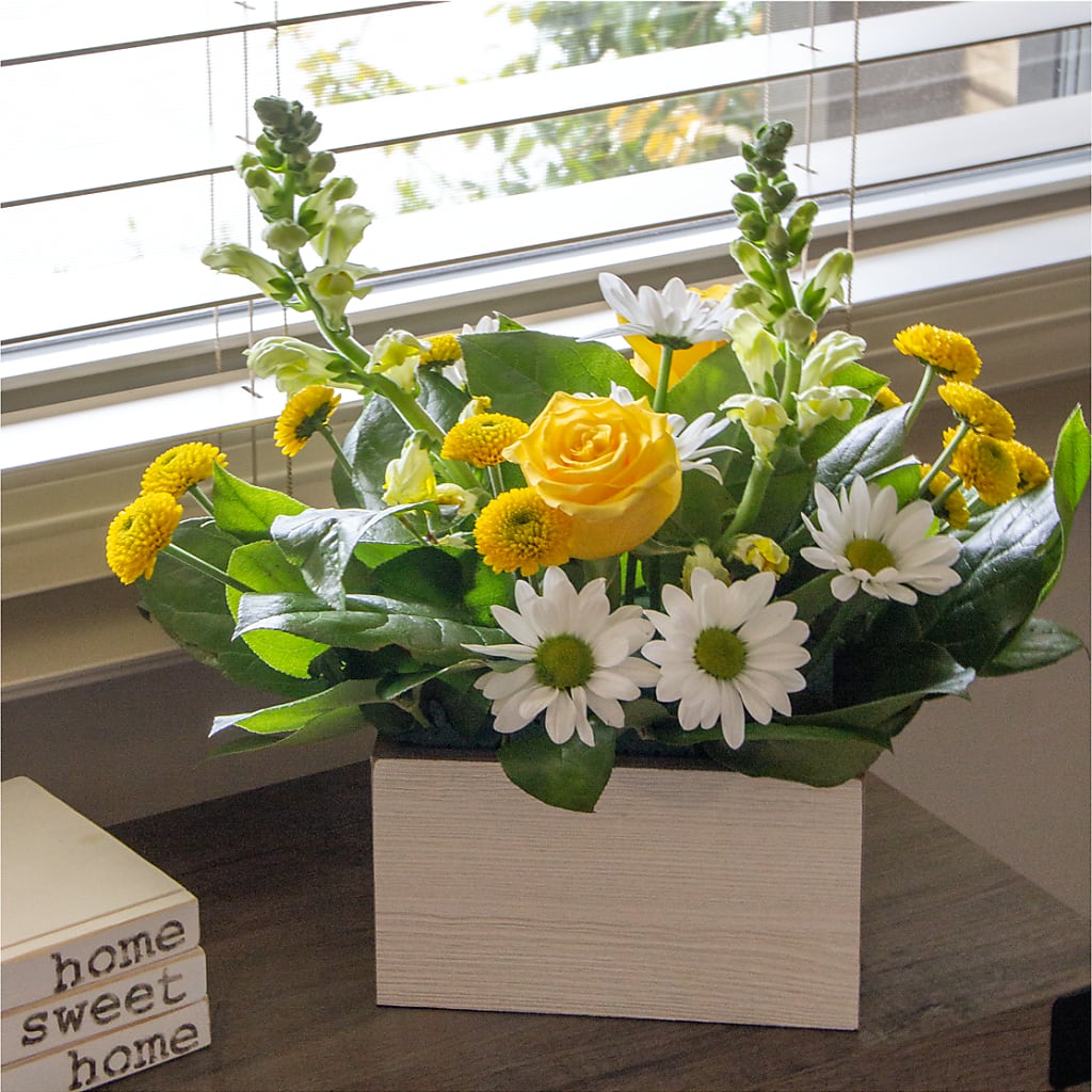 Sun Salutation Box Bouquet – CRALL'S MONONGAHELA FLORAL & GIFT, Monongahela PA