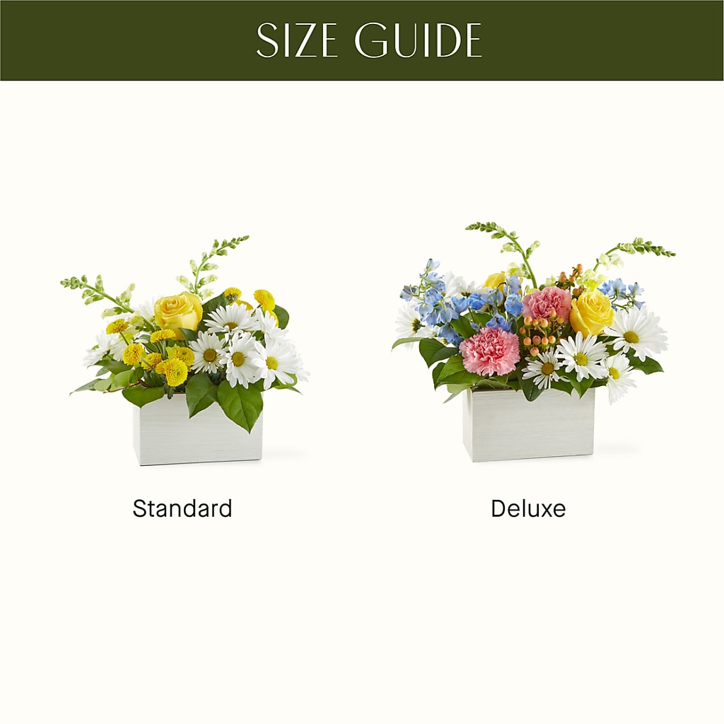 Sun Salutation Box Bouquet – CRALL'S MONONGAHELA FLORAL & GIFT, Monongahela PA