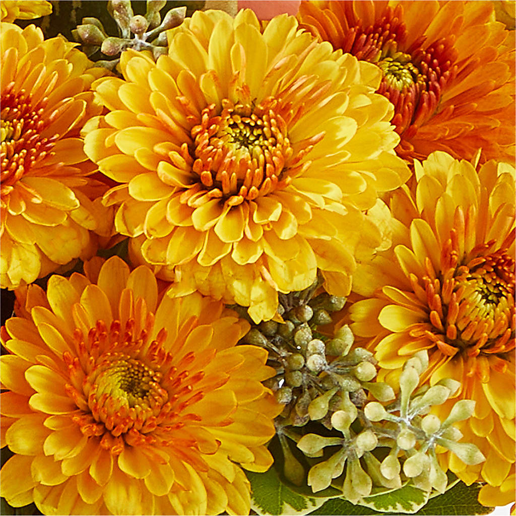 Peachy Pumpkin – CRALL'S MONONGAHELA FLORAL & GIFT, Monongahela PA