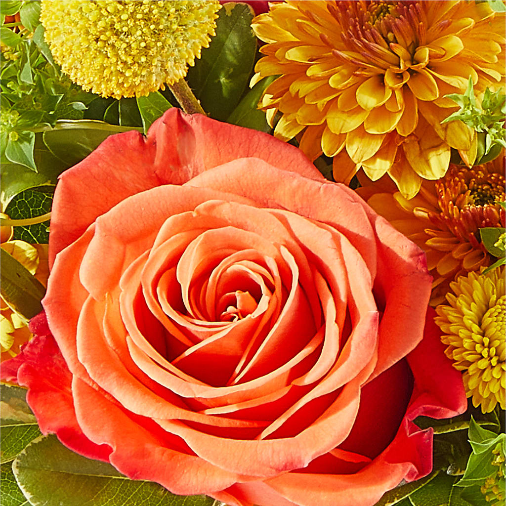 Gourdgeous Pumpkin – CRALL'S MONONGAHELA FLORAL & GIFT, Monongahela PA