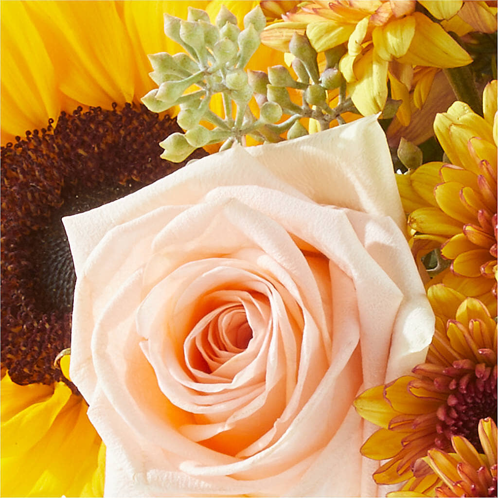 Pumpkin to Talk About Bouquet – CRALL'S MONONGAHELA FLORAL & GIFT, Monongahela PA