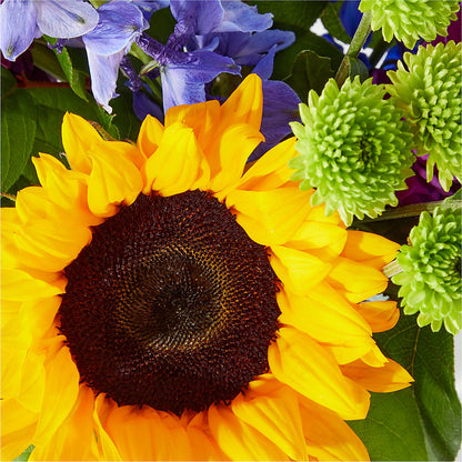 Catching Rays Bouquet – CRALL'S MONONGAHELA FLORAL & GIFT, Monongahela PA