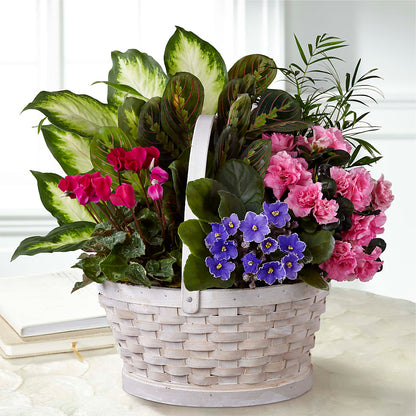 Peaceful Garden Planter – CRALL'S MONONGAHELA FLORAL & GIFT, Monongahela PA
