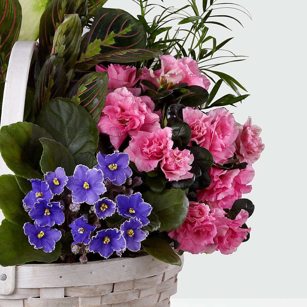 Peaceful Garden Planter – CRALL'S MONONGAHELA FLORAL & GIFT, Monongahela PA