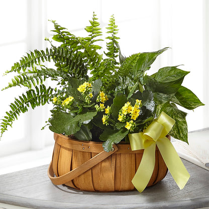 Always Dear Dishgarden – CRALL'S MONONGAHELA FLORAL & GIFT, Monongahela PA