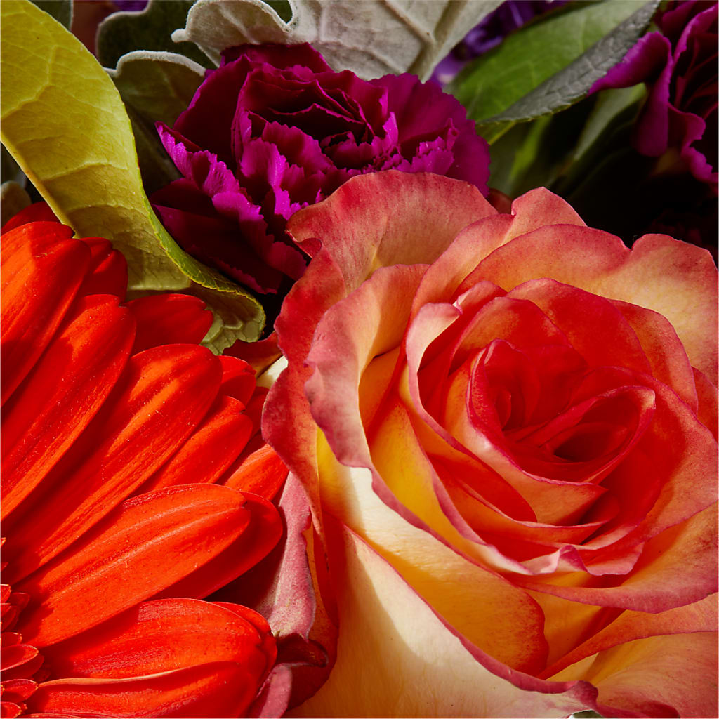 Sangria Bouquet – CRALL'S MONONGAHELA FLORAL & GIFT, Monongahela PA