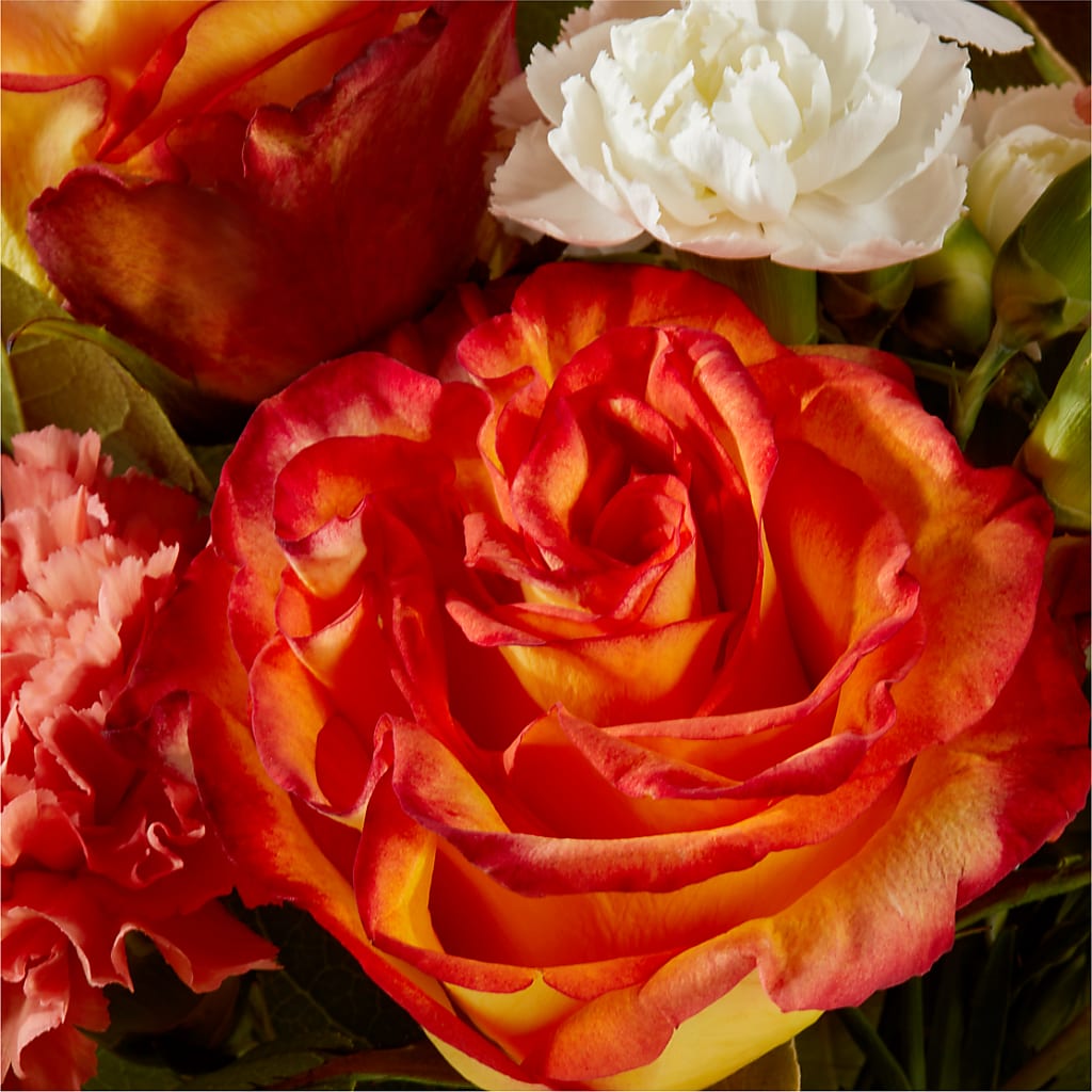 Apricot Glow Bouquet – CRALL'S MONONGAHELA FLORAL & GIFT, Monongahela PA