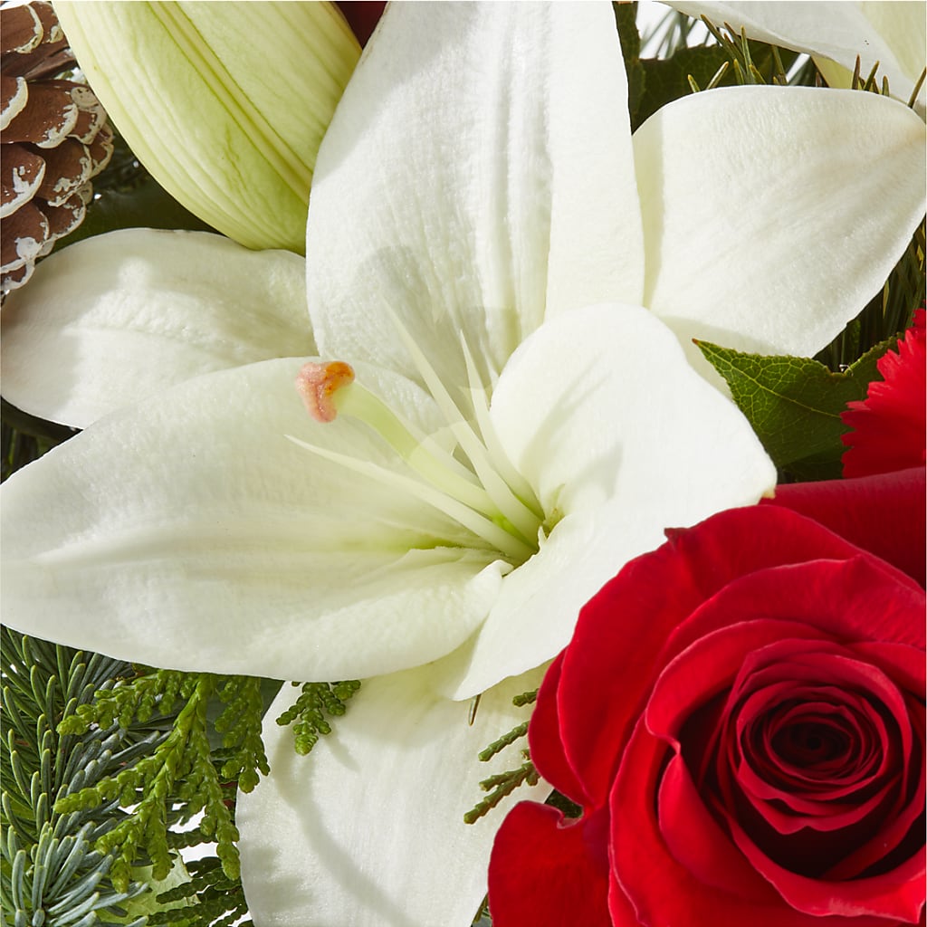 Oh So Jolly Bouquet – CRALL'S MONONGAHELA FLORAL & GIFT, Monongahela PA