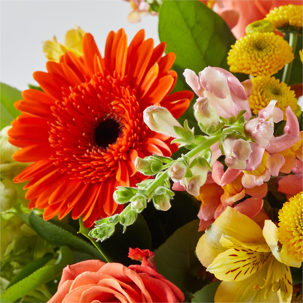 Autumn Sunshine Bouquet – CRALL'S MONONGAHELA FLORAL & GIFT, Monongahela PA