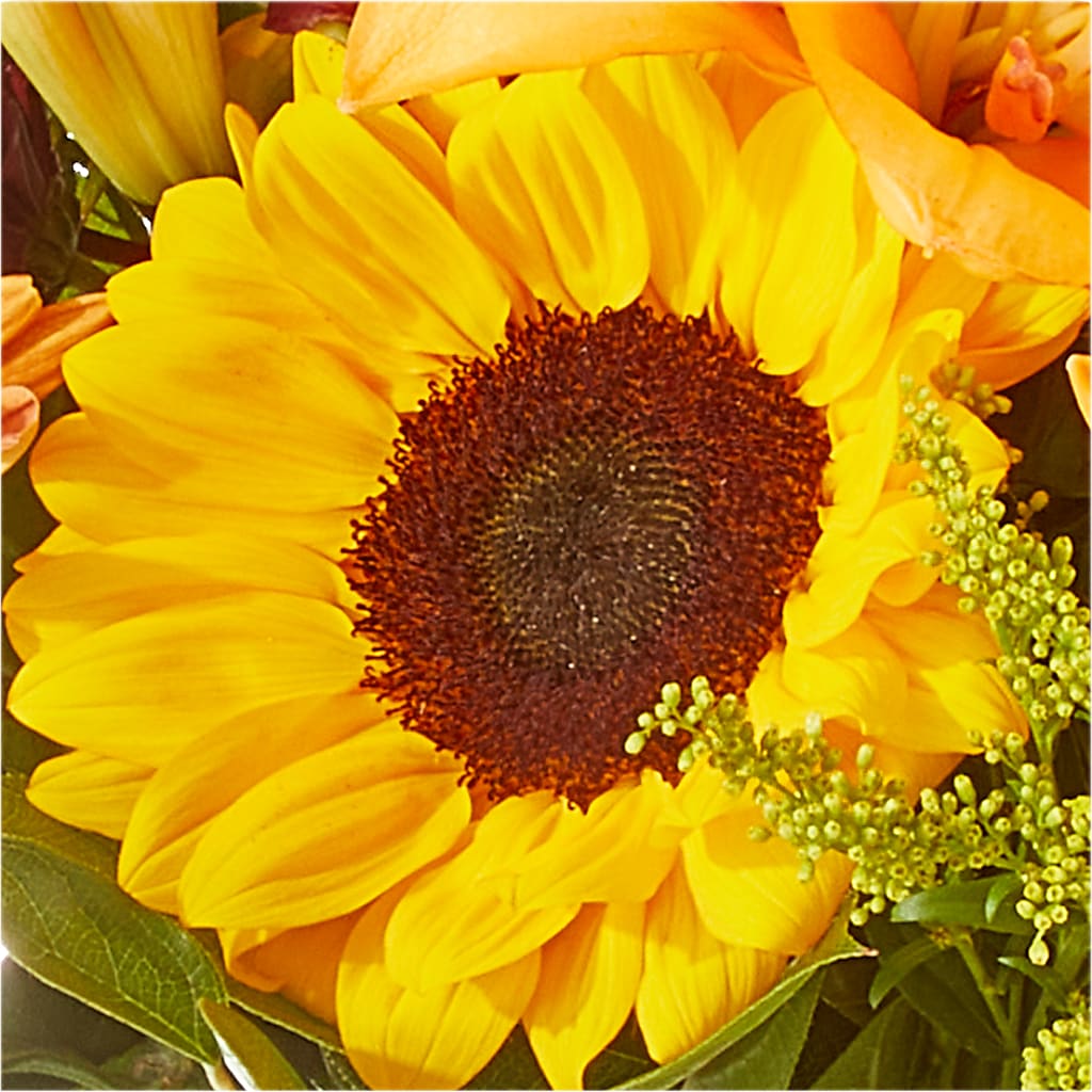 Seasons Change Bouquet – CRALL'S MONONGAHELA FLORAL & GIFT, Monongahela PA