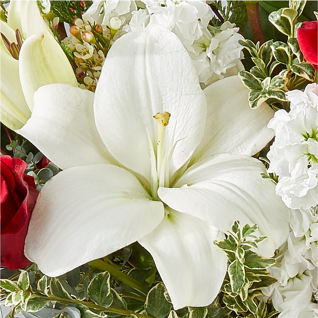 Twinkle Lights Bouquet – CRALL'S MONONGAHELA FLORAL & GIFT, Monongahela PA