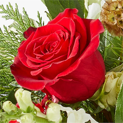 Deck the Halls Bouquet – CRALL'S MONONGAHELA FLORAL & GIFT, Monongahela PA