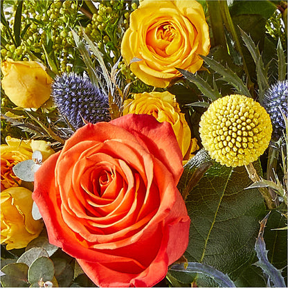 Disco Bouquet – CRALL'S MONONGAHELA FLORAL & GIFT, Monongahela PA