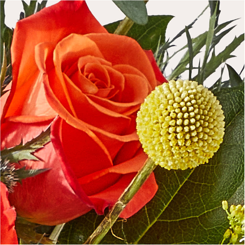 Disco Bouquet – CRALL'S MONONGAHELA FLORAL & GIFT, Monongahela PA
