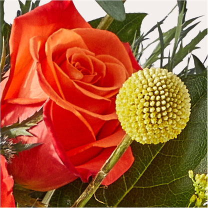 Disco Bouquet – CRALL'S MONONGAHELA FLORAL & GIFT, Monongahela PA