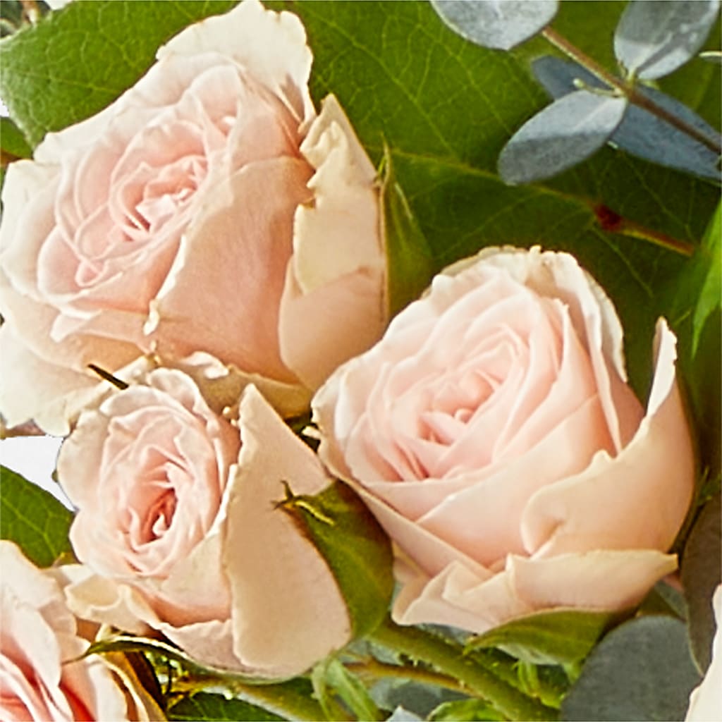 Inspired Bouquet – CRALL'S MONONGAHELA FLORAL & GIFT, Monongahela PA