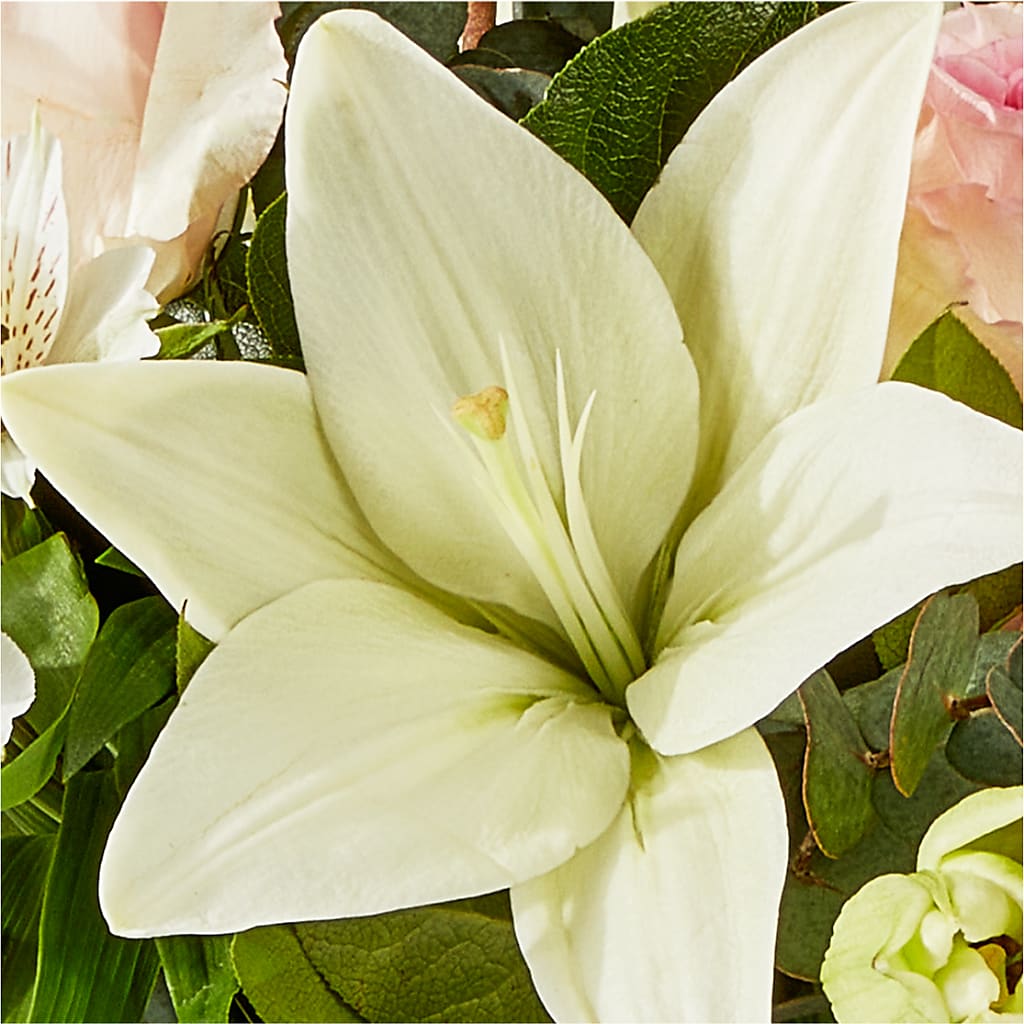 Ballet Slippers Bouquet – CRALL'S MONONGAHELA FLORAL & GIFT, Monongahela PA