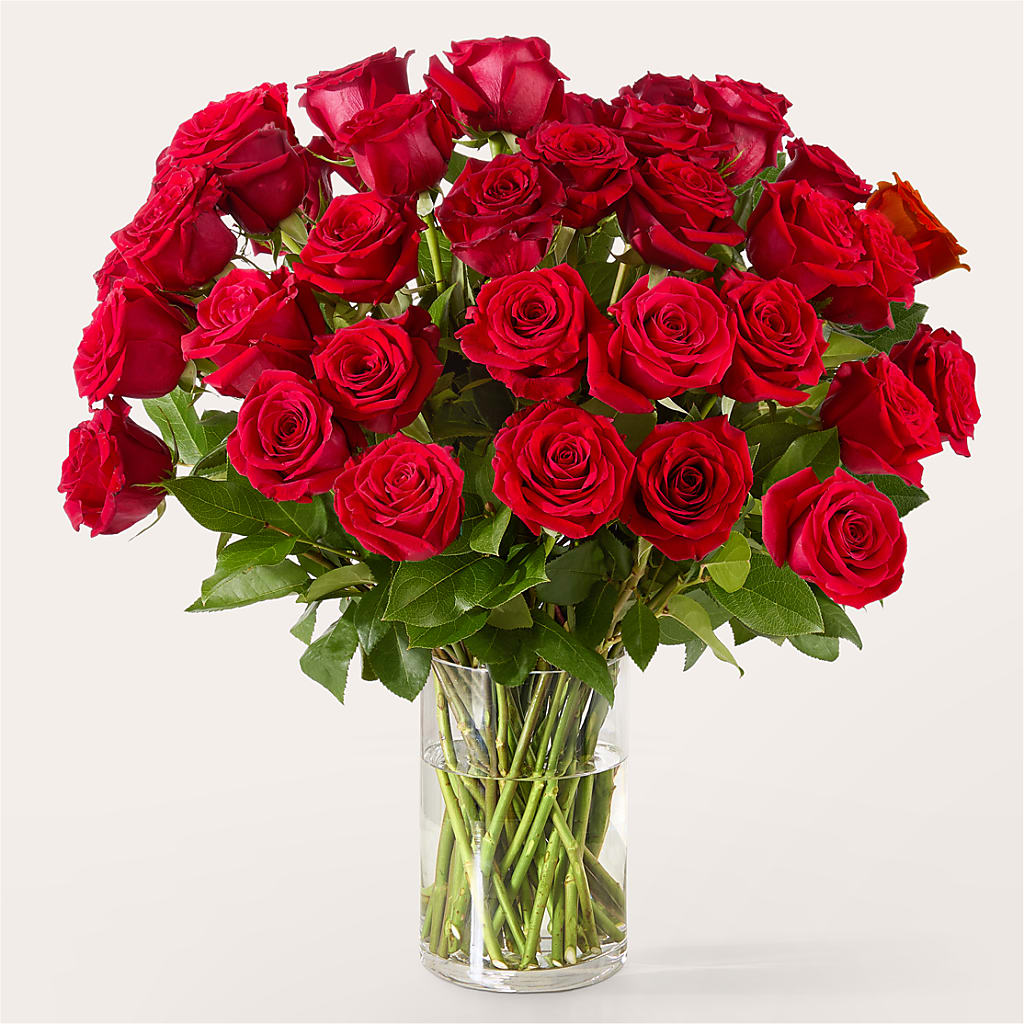 The One Red Rose Bouquet – CRALL'S MONONGAHELA FLORAL & GIFT, Monongahela PA