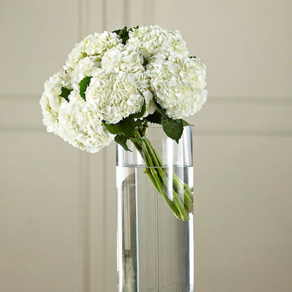 White Hydrangea Hand-Tied Bouquet – CRALL'S MONONGAHELA FLORAL & GIFT, Monongahela PA