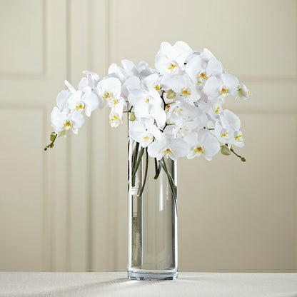 White Phalaenopsis Bouquet – CRALL'S MONONGAHELA FLORAL & GIFT, Monongahela PA